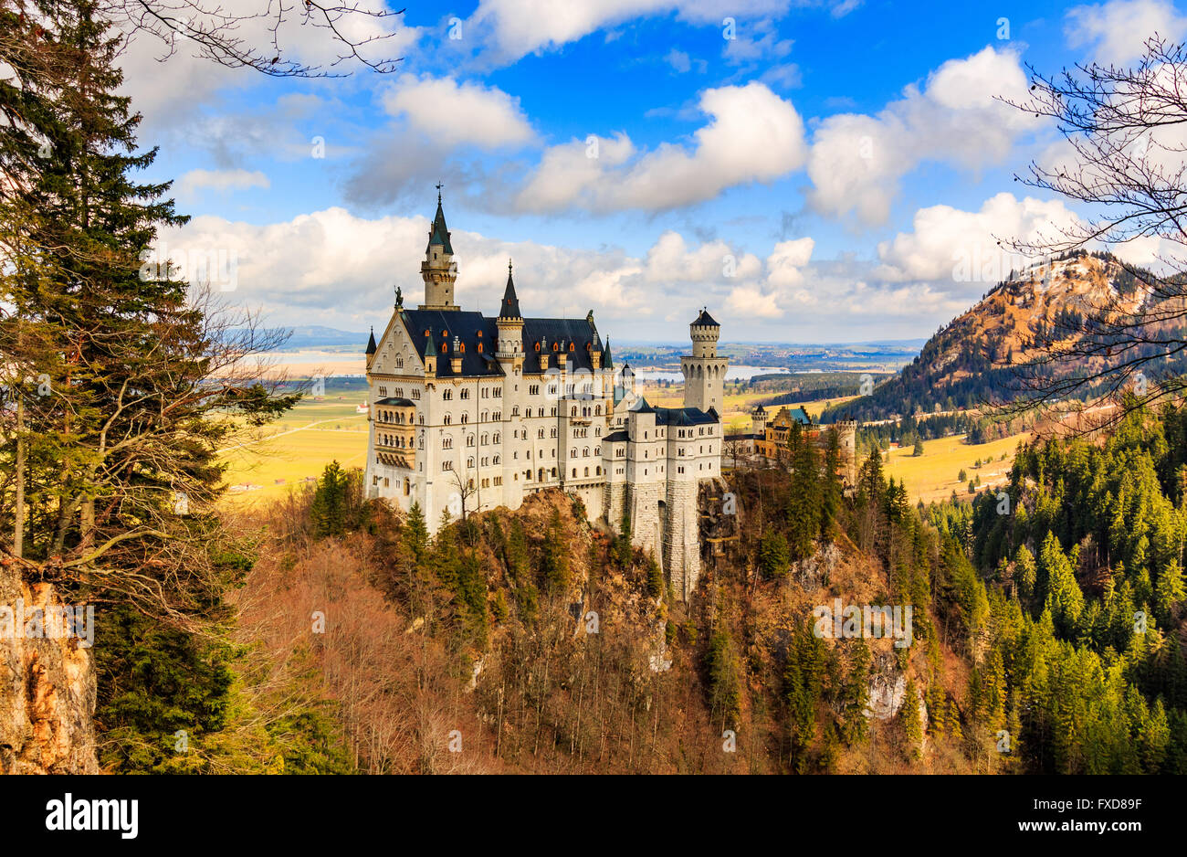 Neuschwanstein Castle in winter landscape, Fussen, Germany Stock Photo