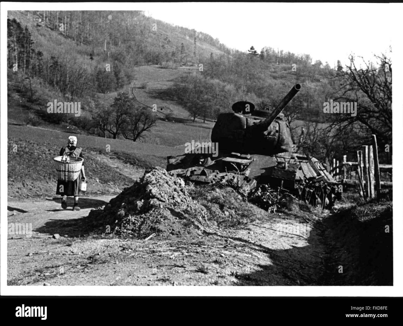 Abgeschossener sowjetischer T 34/85 Kampfpanzer am Schwarzsee bei Mayerling in Nierderösterreich Stock Photo