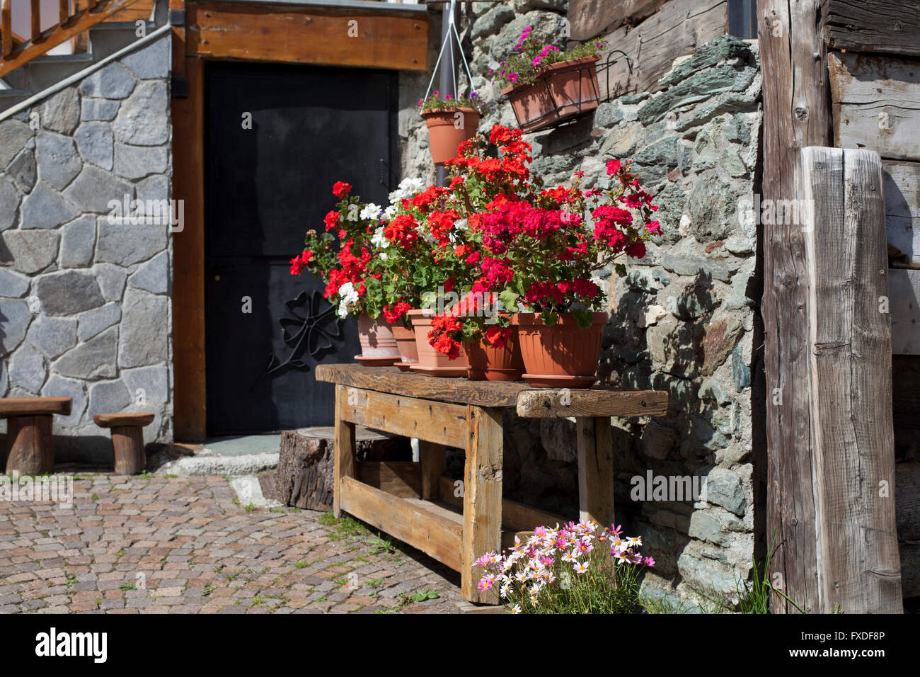 Valle d'Aosta garden vase red flowers Stock Photo