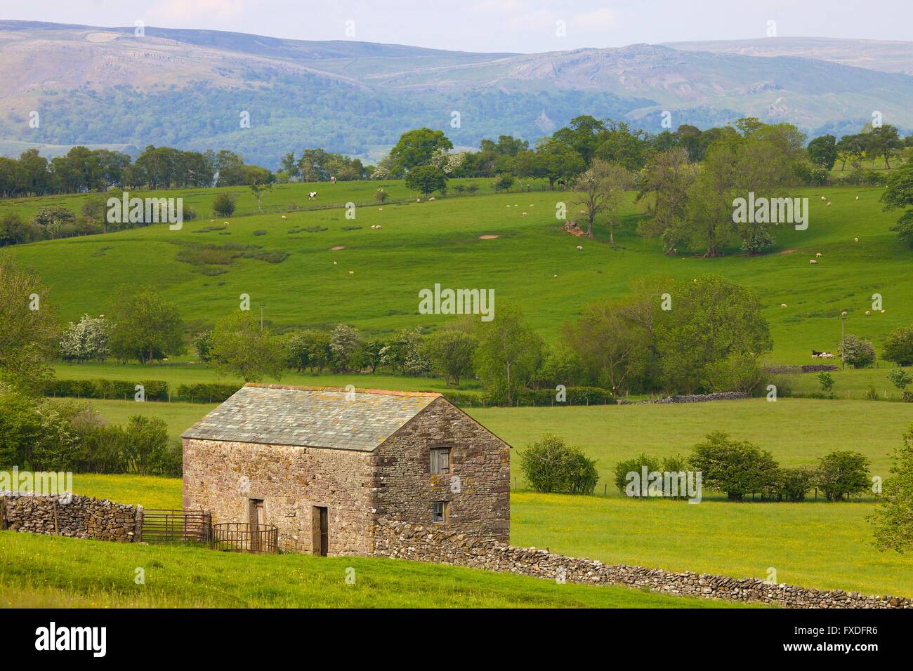 Eden Valley. Barn near Water Houses, Cumbria, England, UK Stock Photo