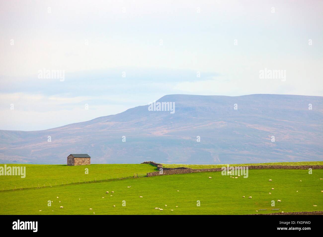 Eden Valley. Barn near Arklow Hill with Nine Standards Rigg in background. Crosby Garrett, Kirkby Stephen, Eden Valley, Cumbria. Stock Photo