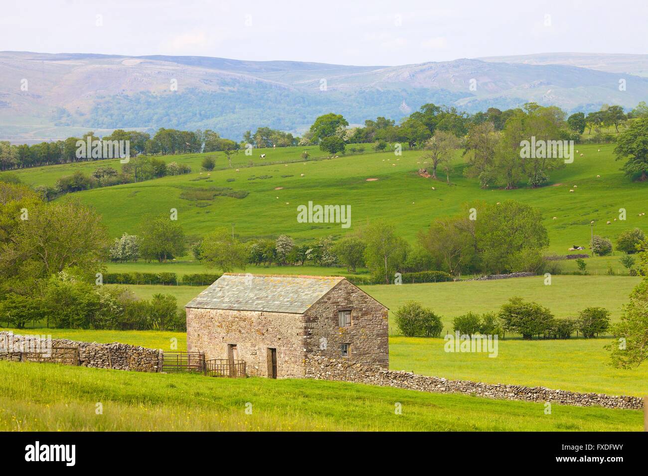 Eden Valley. Barn near Water Houses, Cumbria, England, UK. Stock Photo