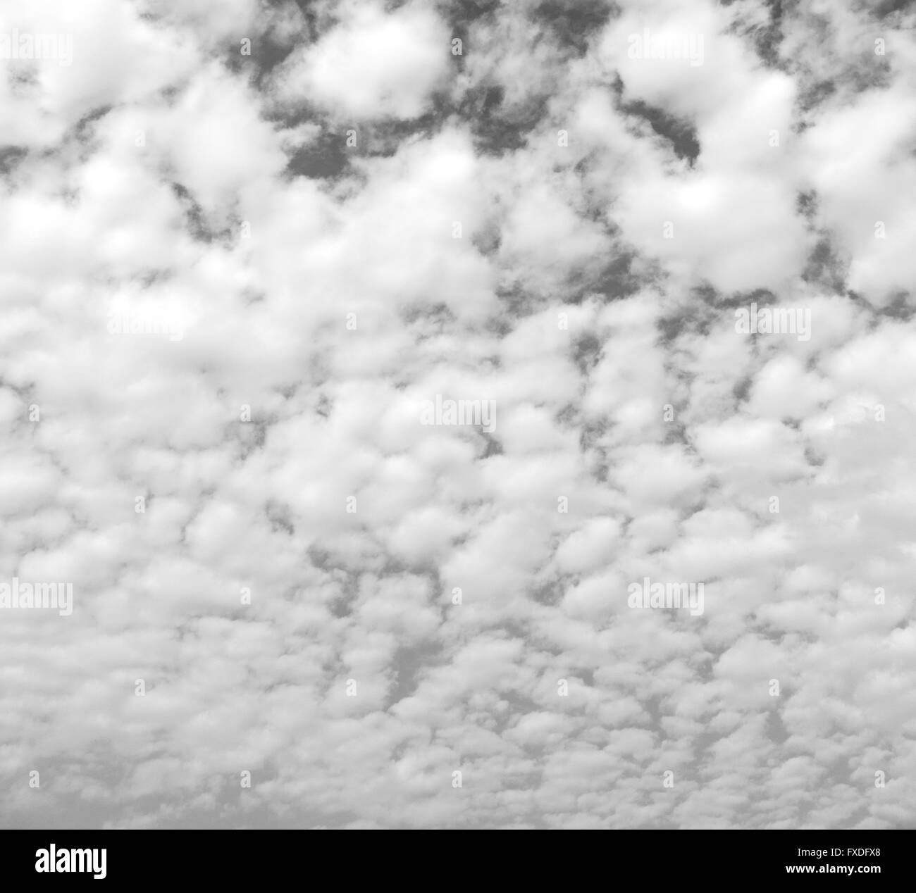 Blue sky with light cloud cover Black and White Stock Photos & Images ...