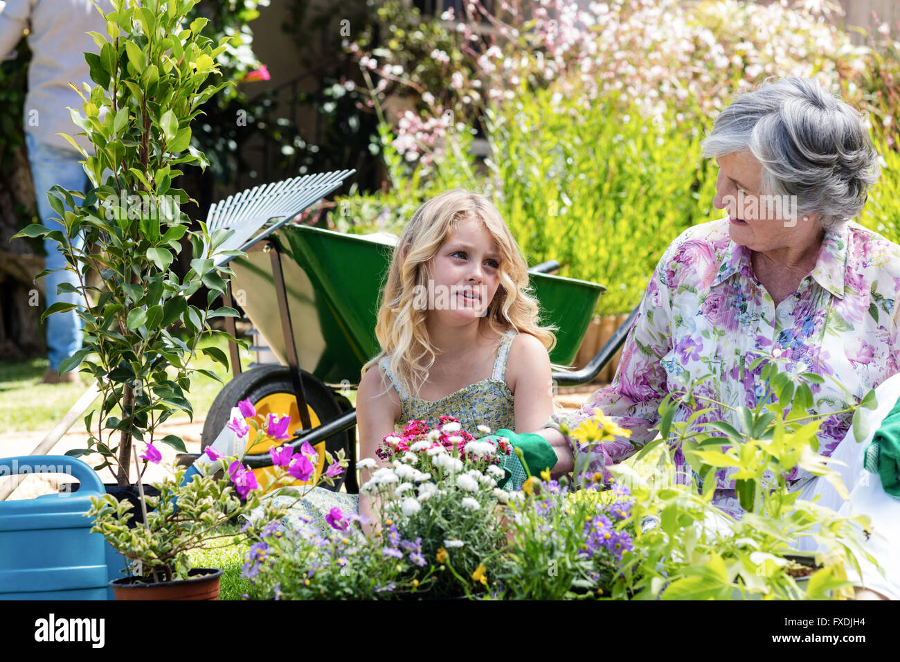 Grandmother and granddaughter gardening together Stock Photo