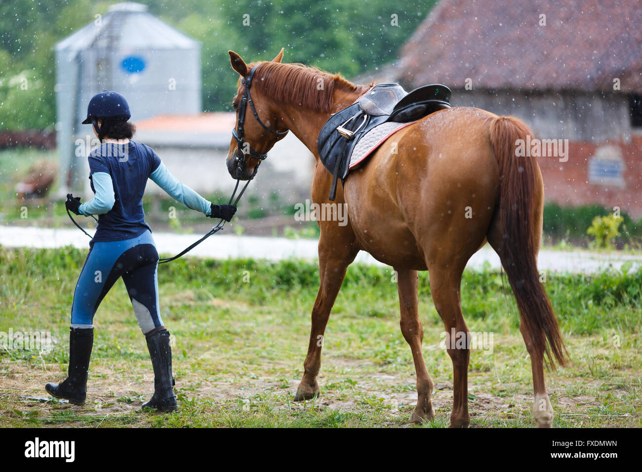 Девушка с лошадью. Коня под уздцы. Держать коня под уздцы. Коня под уздцы. Лошадь под уздцы.