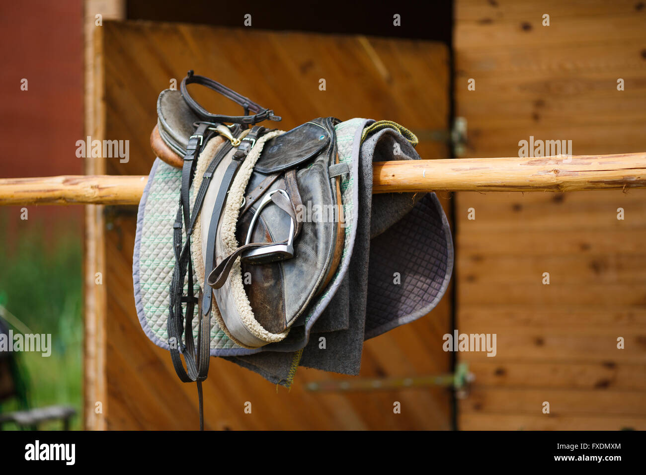 A leather saddles horse in a stable Stock Photo