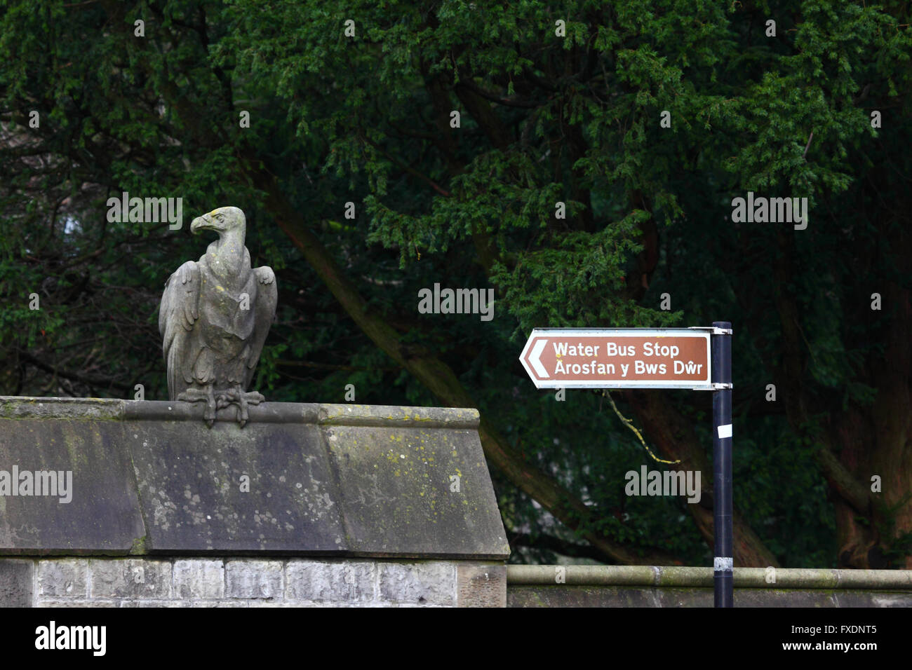 Stone vulture sculpture on Animal Wall and sign to water bus stop, Cardiff, South Glamorgan, Wales, United Kingdom Stock Photo