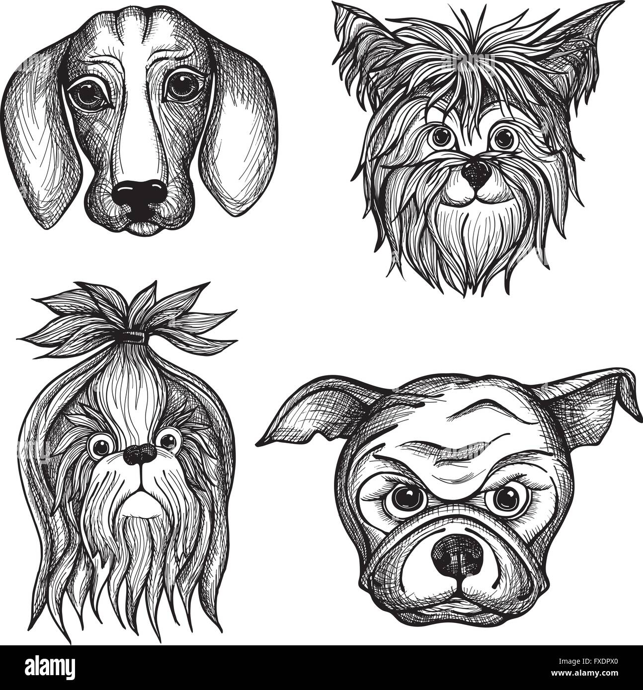 Hand Drawn Dog Faces Set Stock Vector Image & Art - Alamy