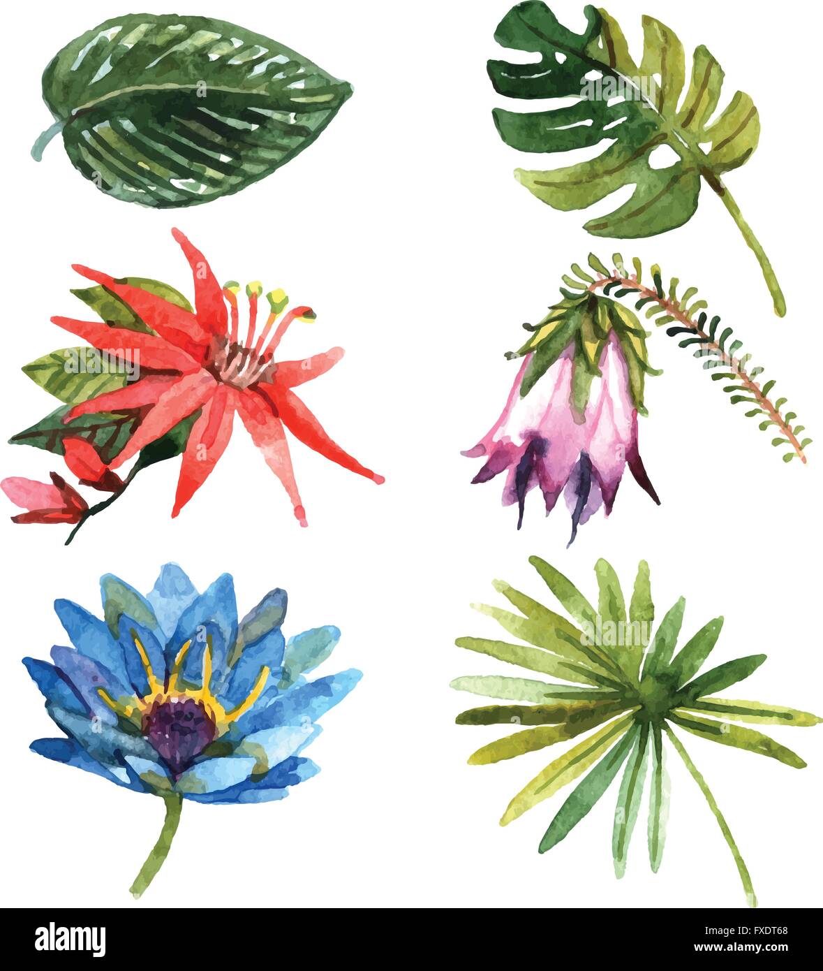Tropical plants leaves watercolor sketch icons Stock Vector Image & Art ...