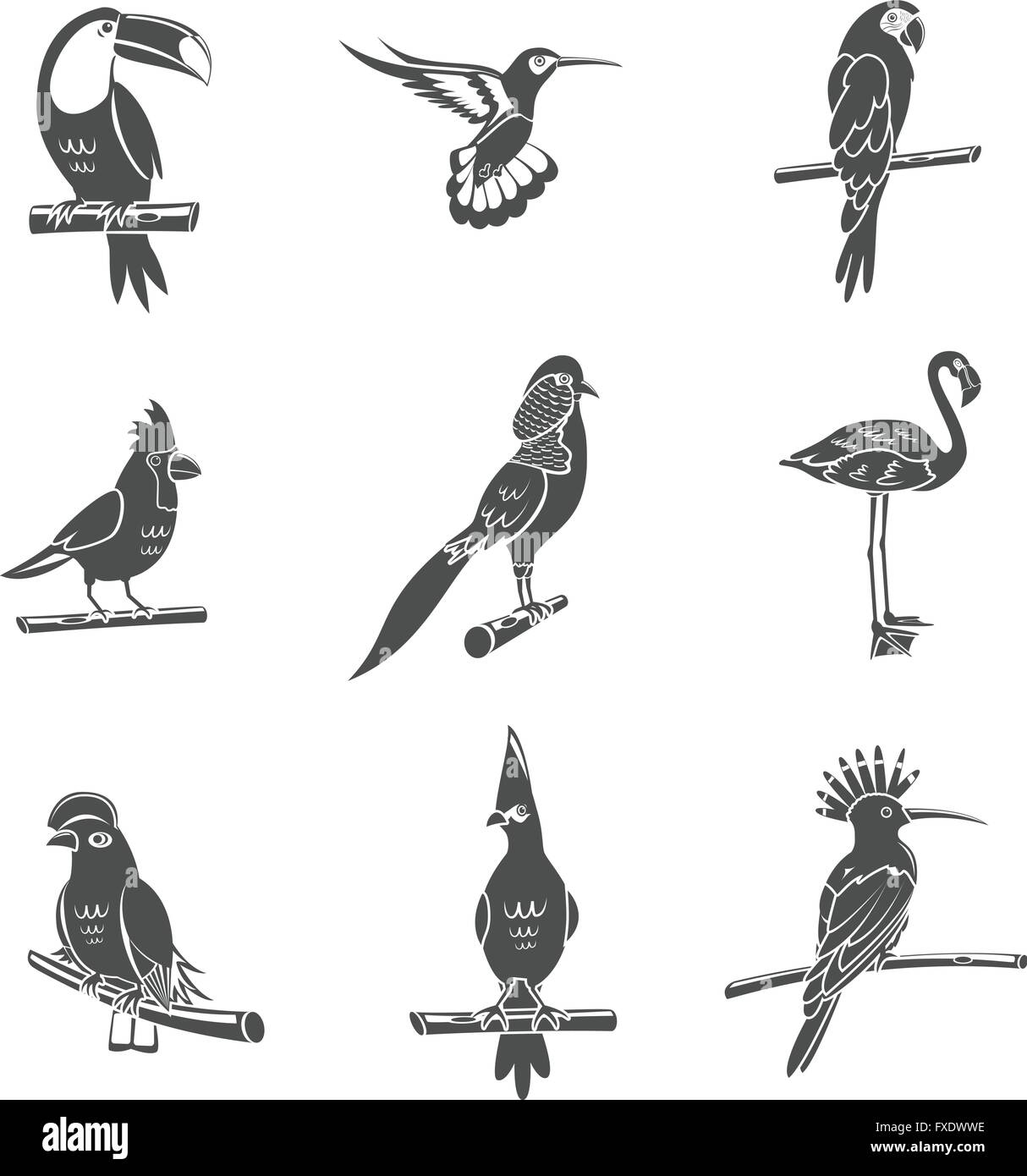Bird Black Icons Set Stock Vector Image & Art - Alamy