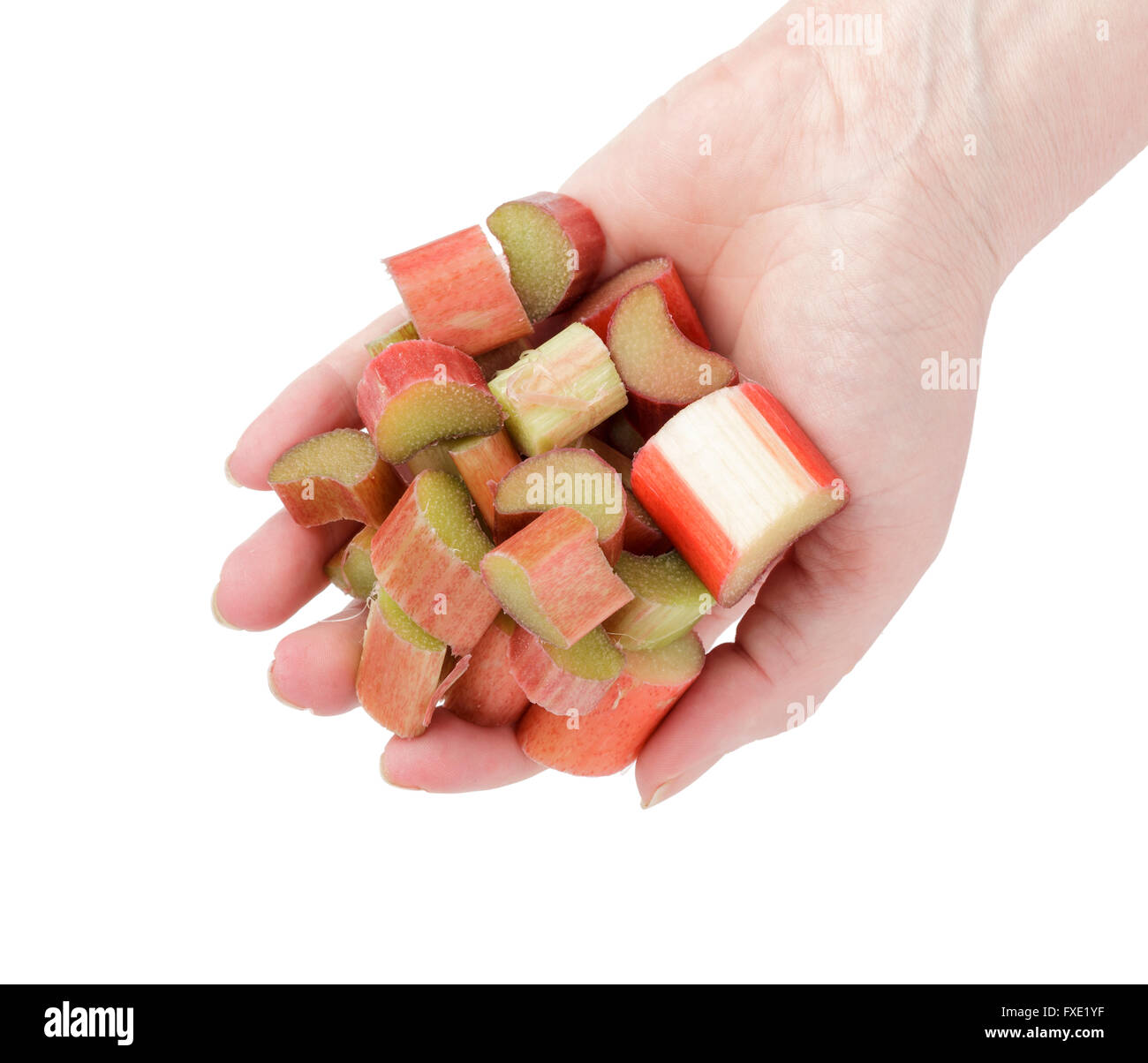 hand holding rhubarb Stock Photo