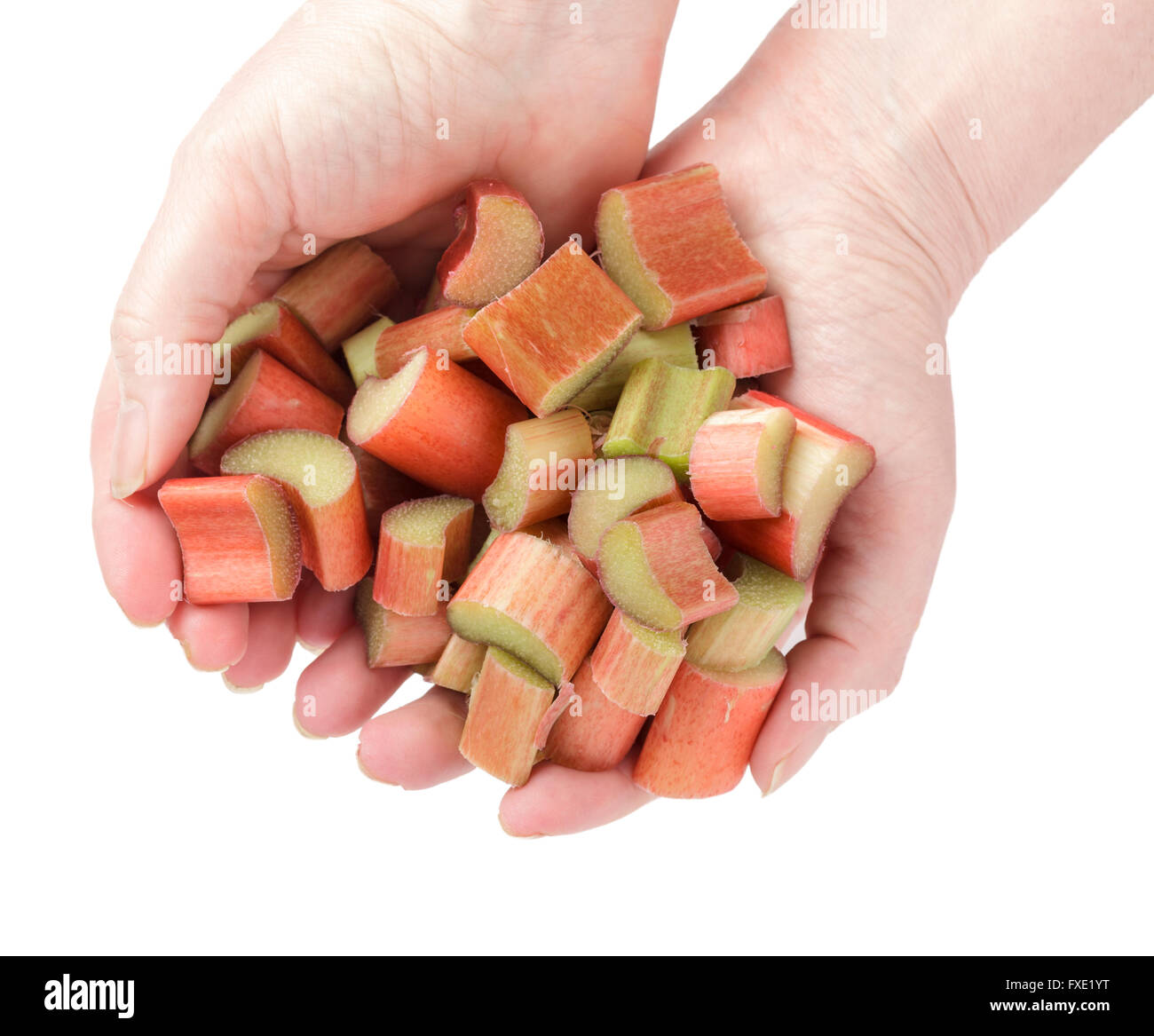 hands holding rhubarb Stock Photo