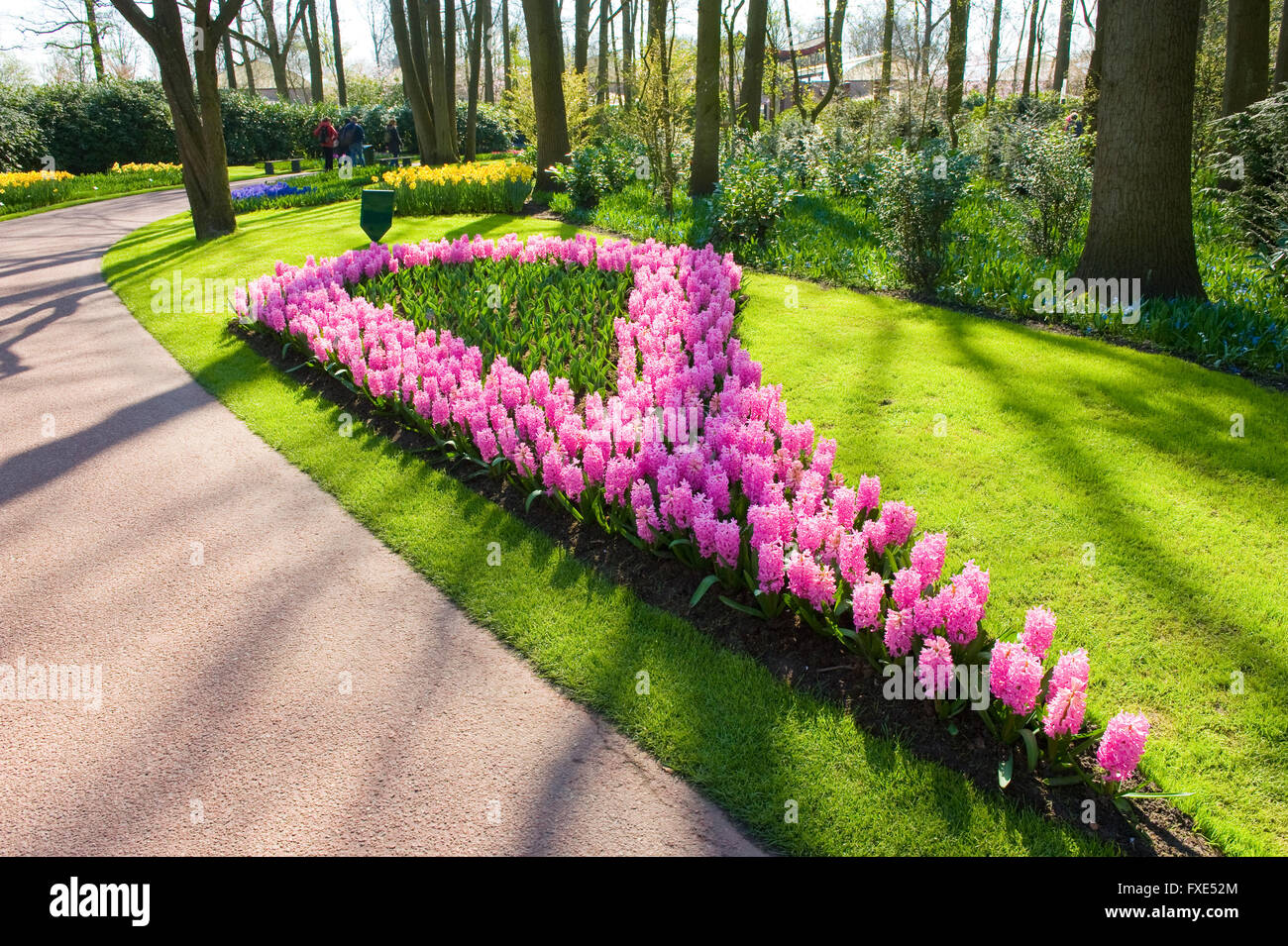 The Keukenhof is a popular flower garden which is visited by a million tourists from all around the world. Stock Photo