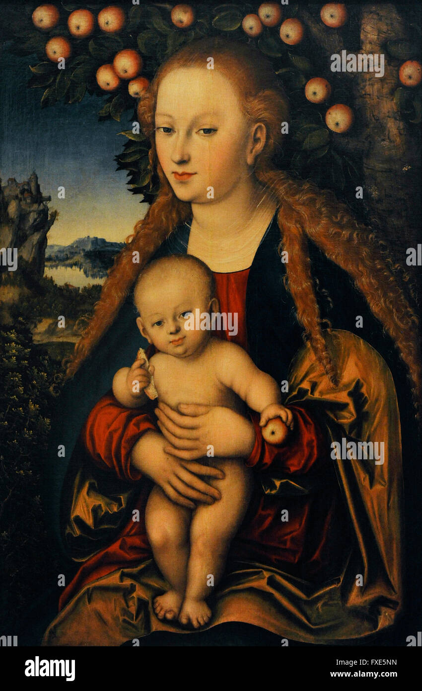 Lucas Cranach the Elder (c. 1472-1553).  German Renaissance painter and printmaker. The Virgin and the Child under an apple-tree, 1520s-1530s. Oil on canvas. The State Hermitage Museum. Saint Petersburg. Russia. Stock Photo