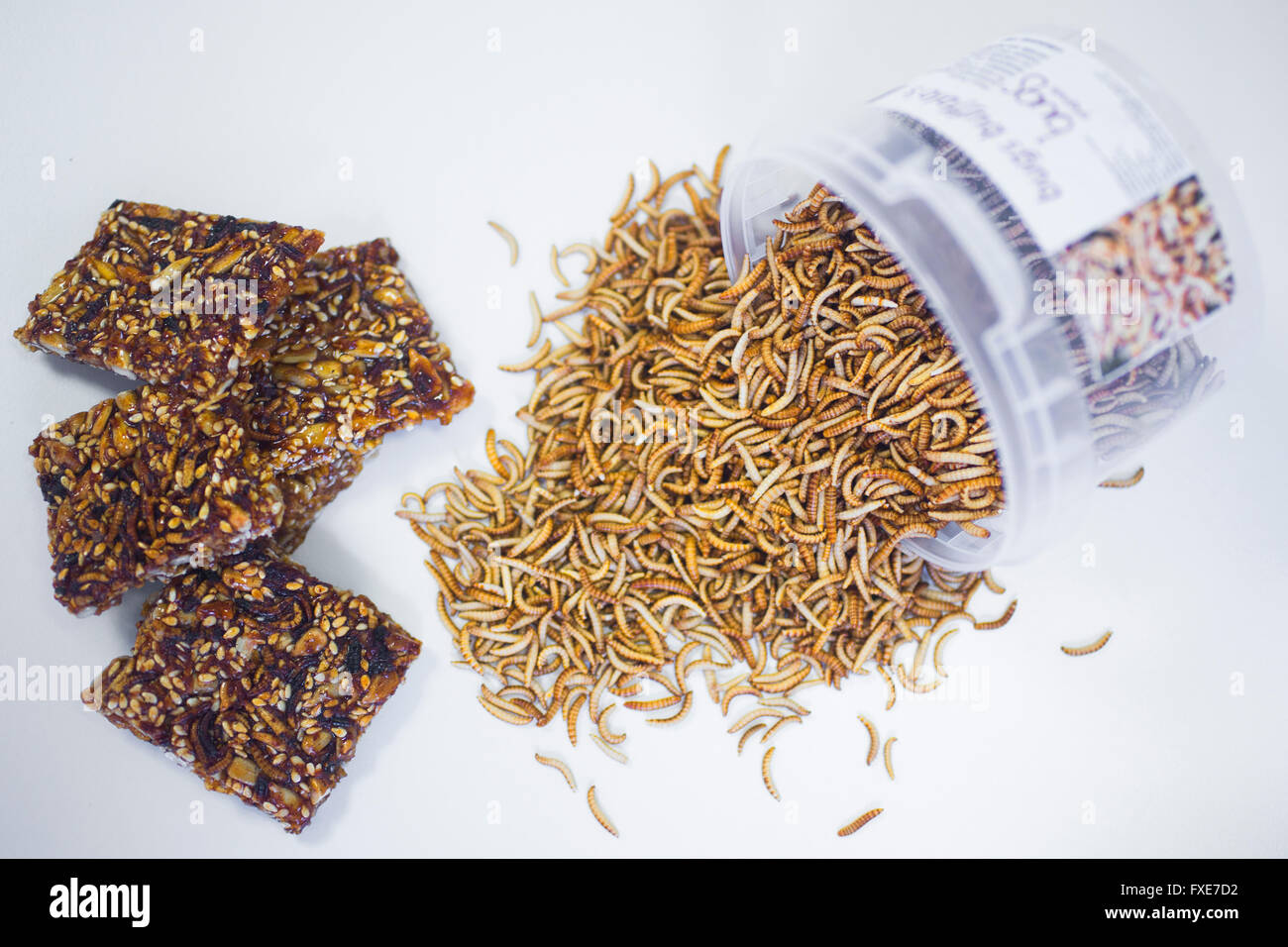 large scale production of edible insects in Holland High energy and high protein bars made of