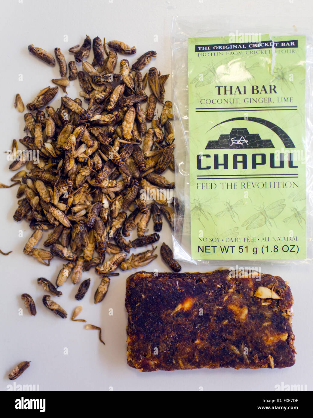 High energy and high protein bars made of insects stock photo alamy