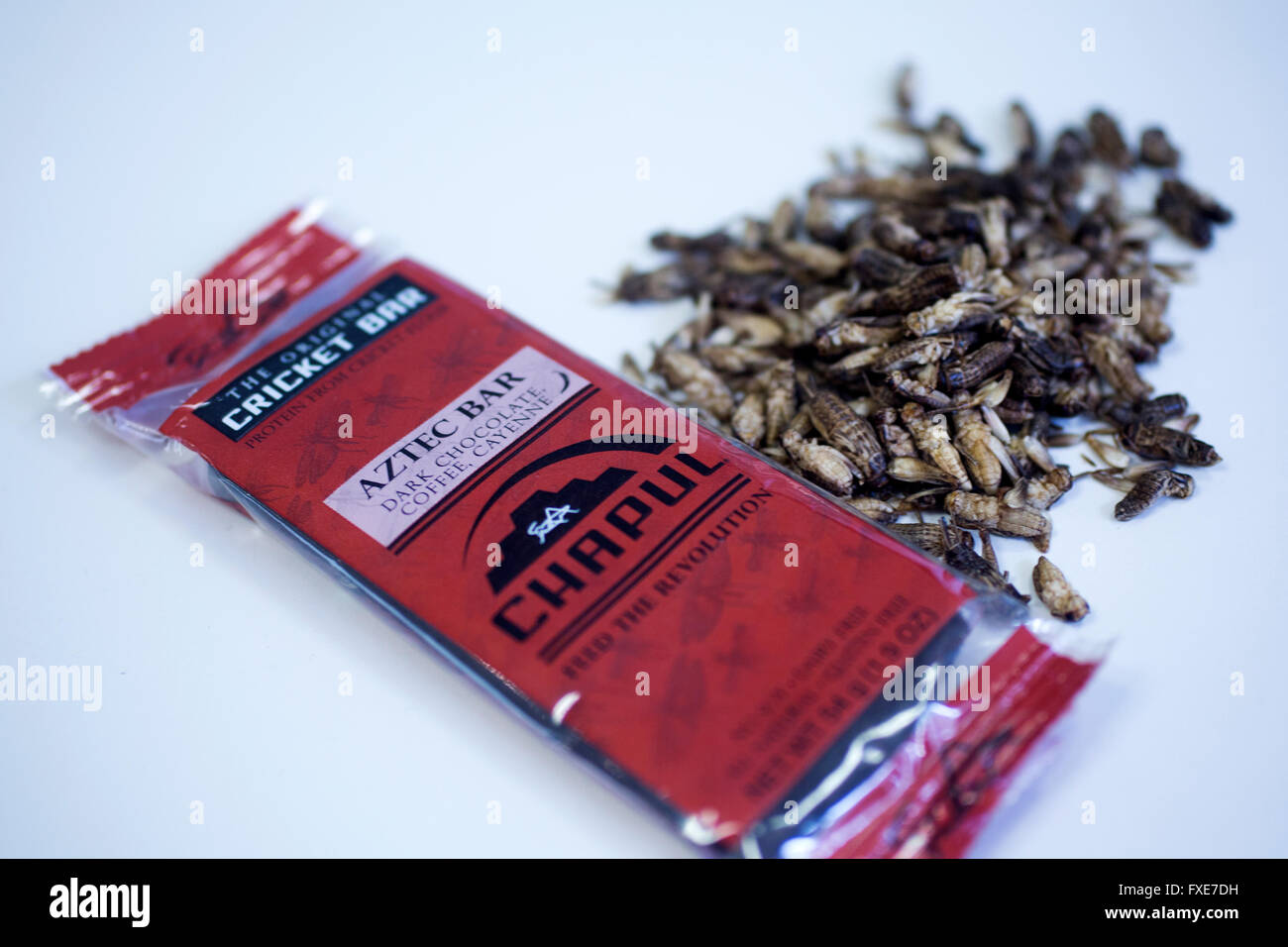 High energy and high protein bars made of insects Stock Photo