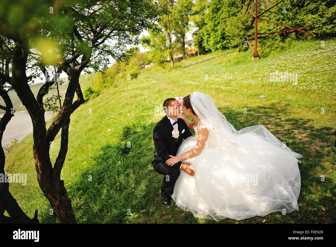 Couple sitting under shade tree hi-res stock photography and images - Alamy