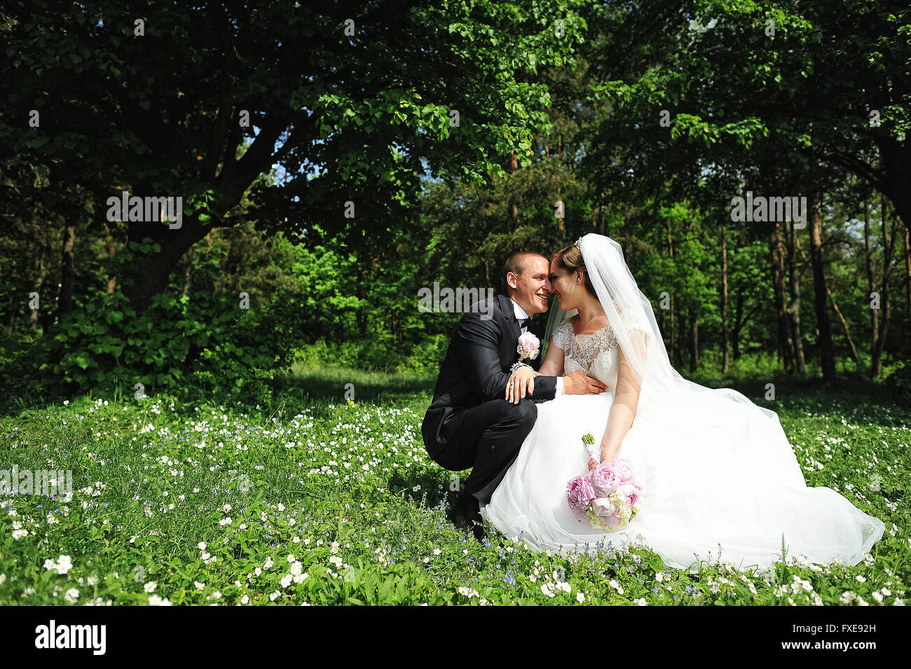 Wedding couple sitting in the meadow of spring flowers at sunny day Stock  Photo - Alamy