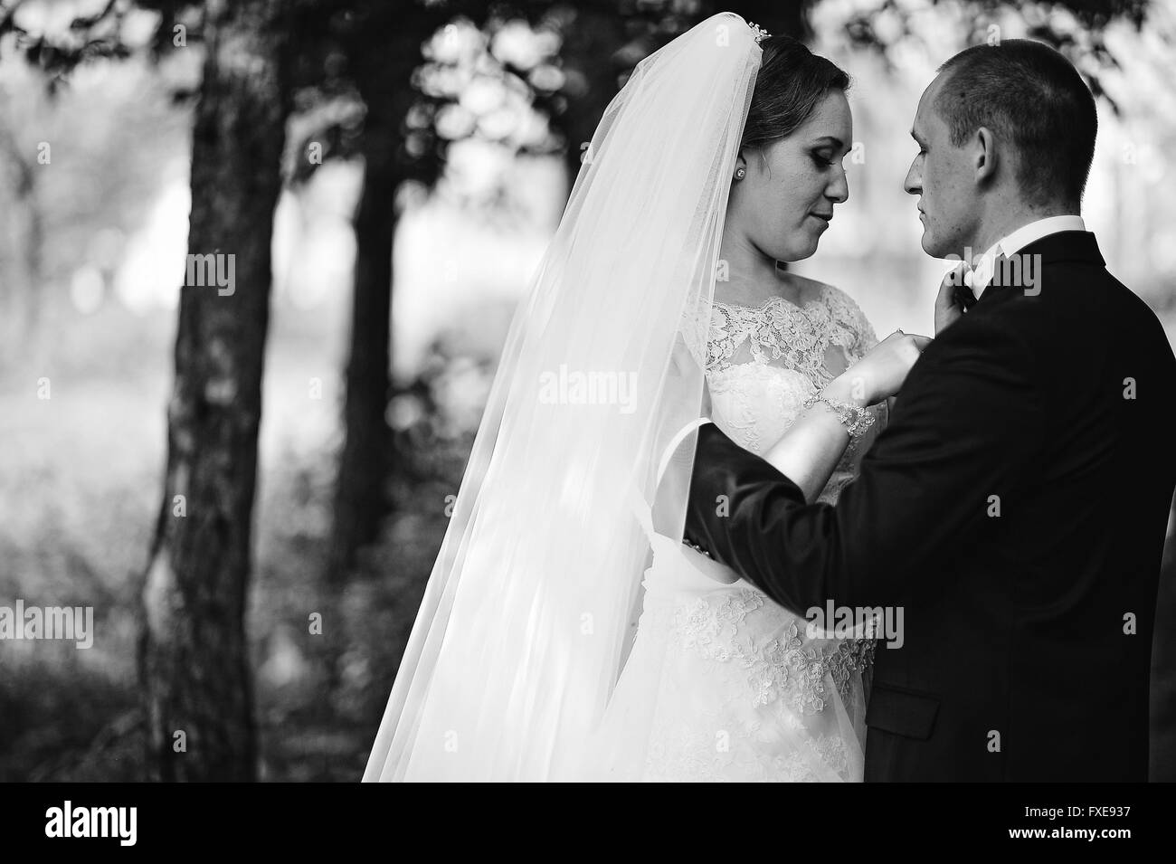 Close up b&w portrait of hugging wedding couple Stock Photo - Alamy