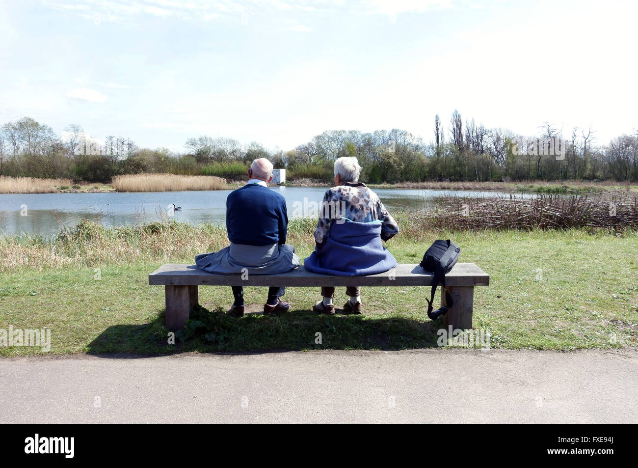 Older couple sitting on bench in nature reserve, London Stock Photo - Alamy