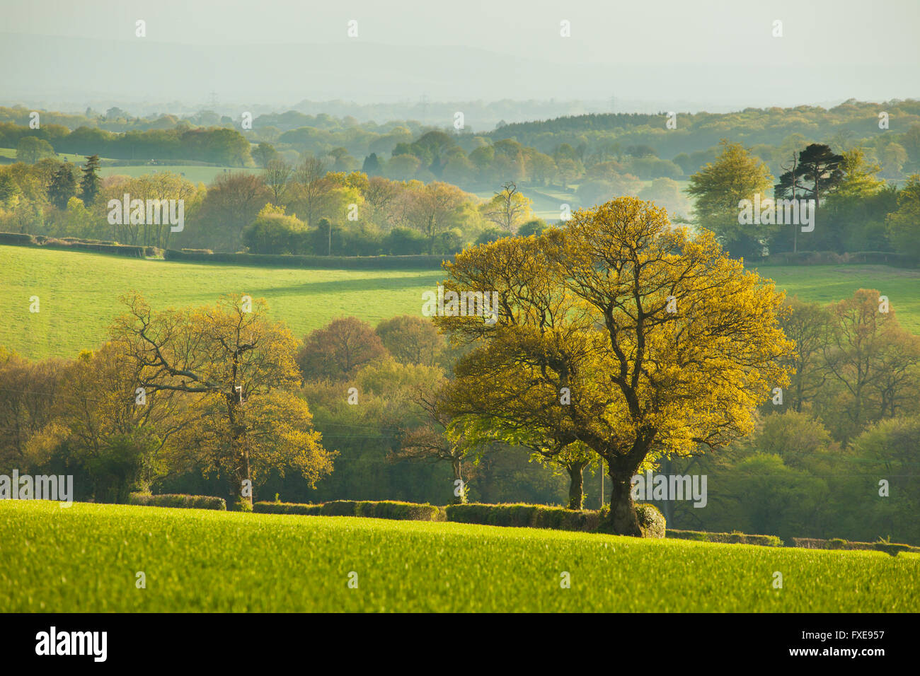 High weald sussex hires stock photography and images Alamy