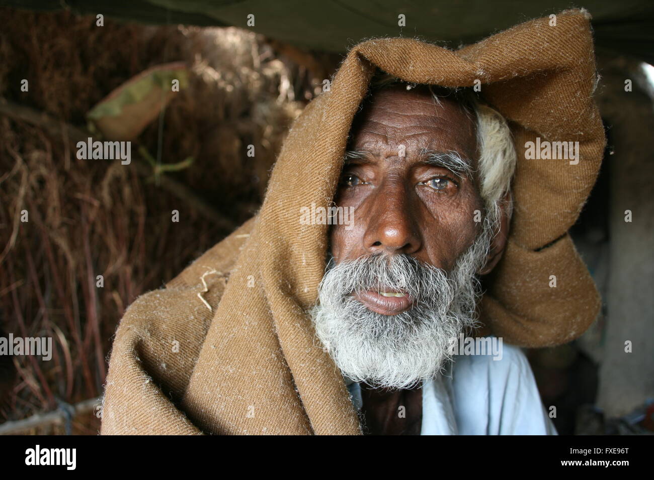 Old man with white hair hi-res stock photography and images - Alamy