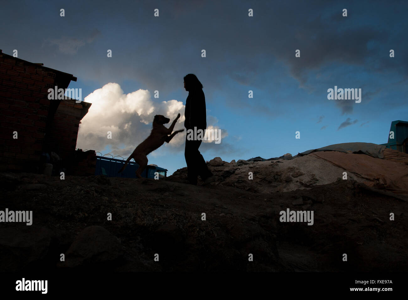 Bolivia, man and dog is playing in the evening, back light. Stock Photo