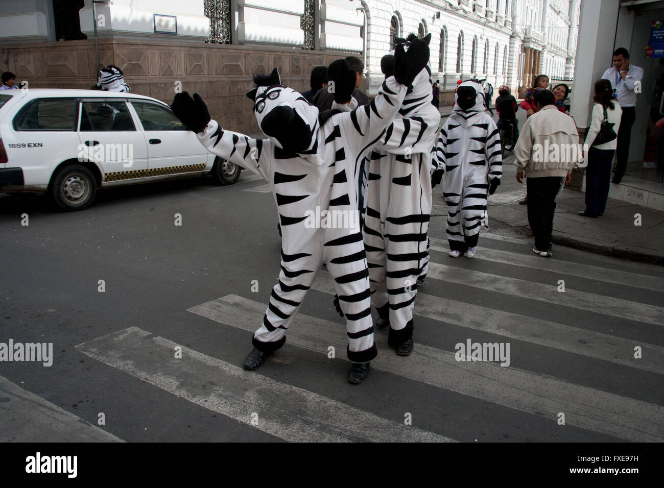 Bolivia, La Paz, traffic zebras,people dressed with zebra costume