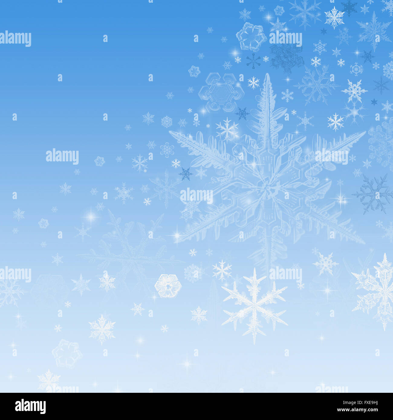 Blue White Christmas, Winter Background with Snow Flakes Stock