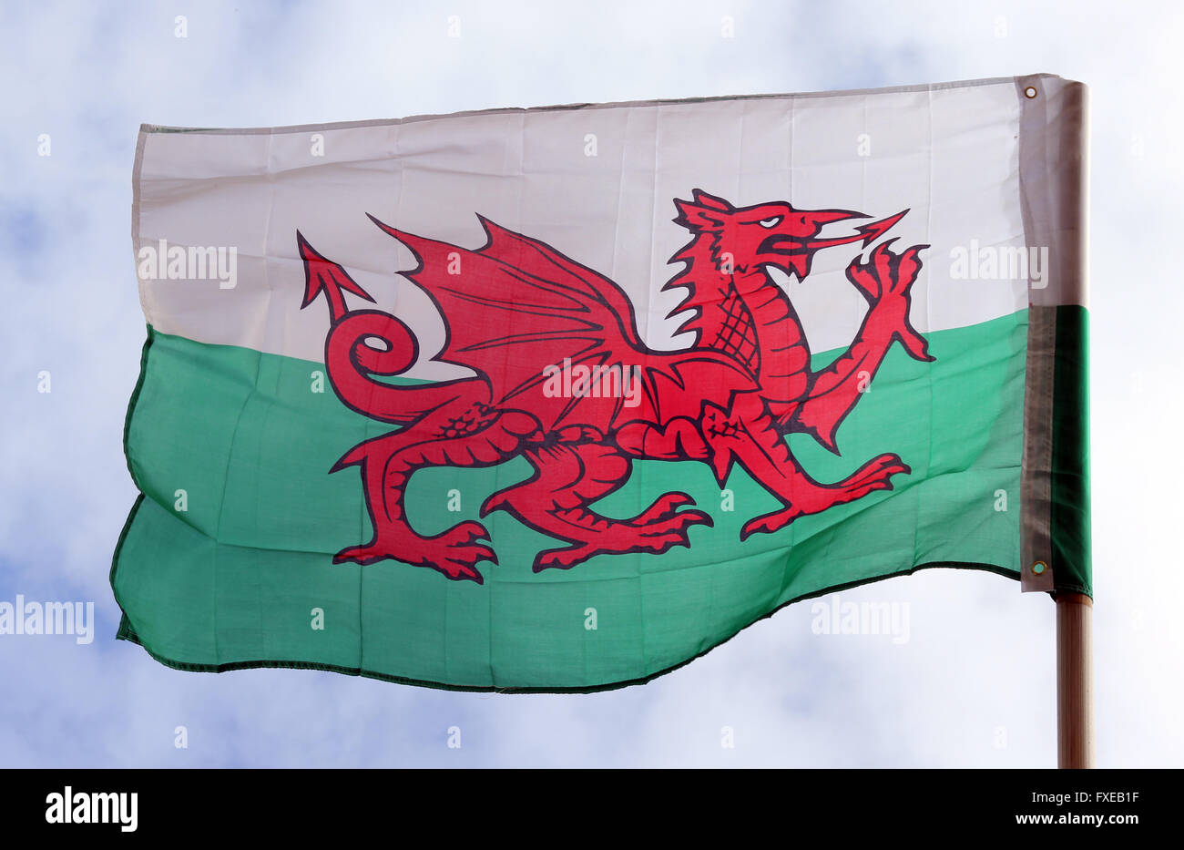 Welsh flag in wind Stock Photo