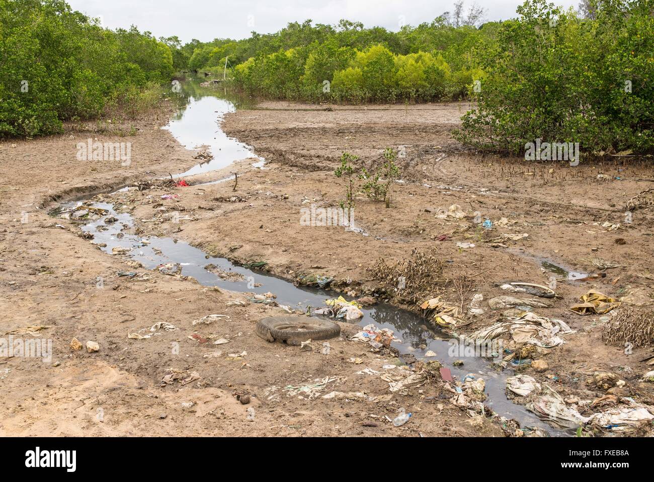 Heavily polluted water stream filled with rubbish running through a muddy plain before entering in a forest Stock Photo