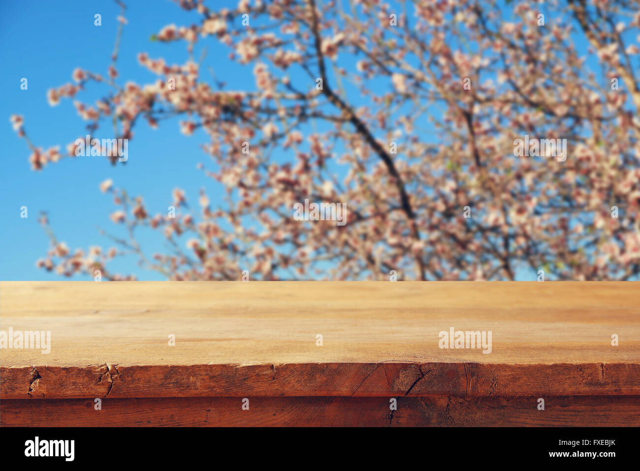 wooden rustic table in front of spring white cherry blossoms tree ...