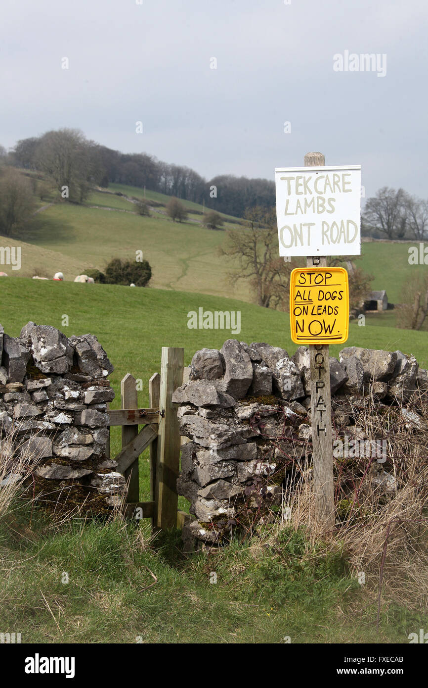 Care in the countryside sign at lambing time in Bakewell Stock Photo