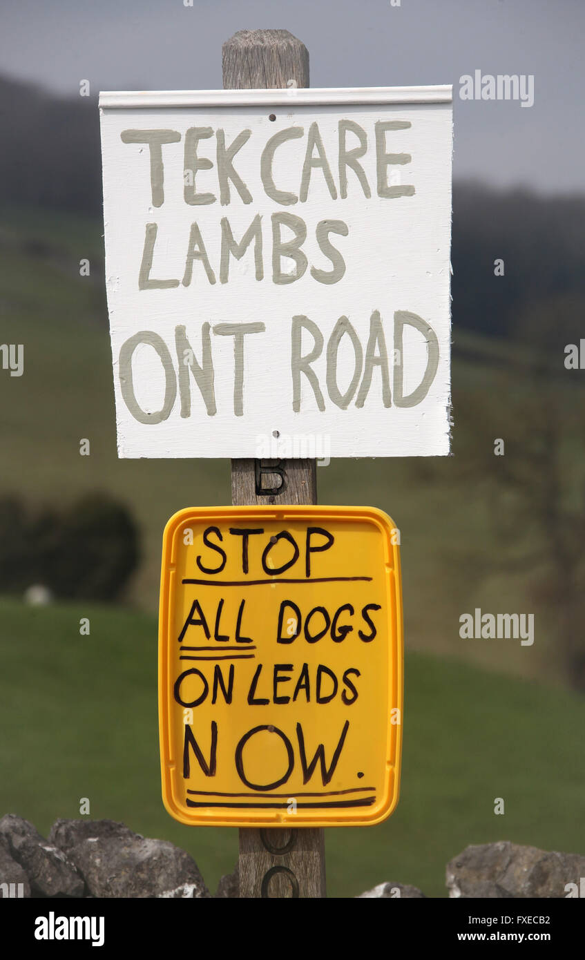 Care in the countryside sign at lambing time in Bakewell Stock Photo