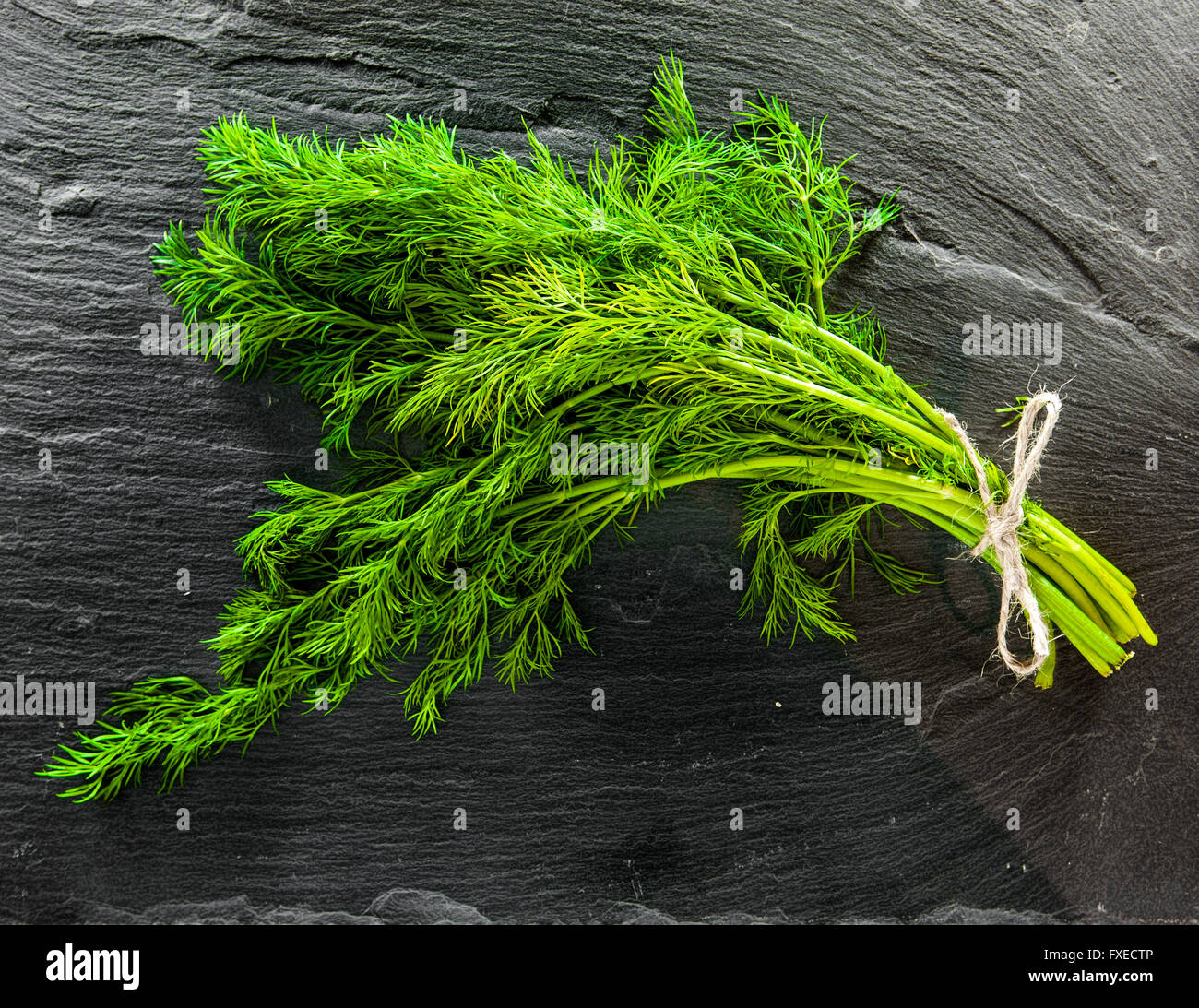 Bunch of dill on slate plate. Stock Photo