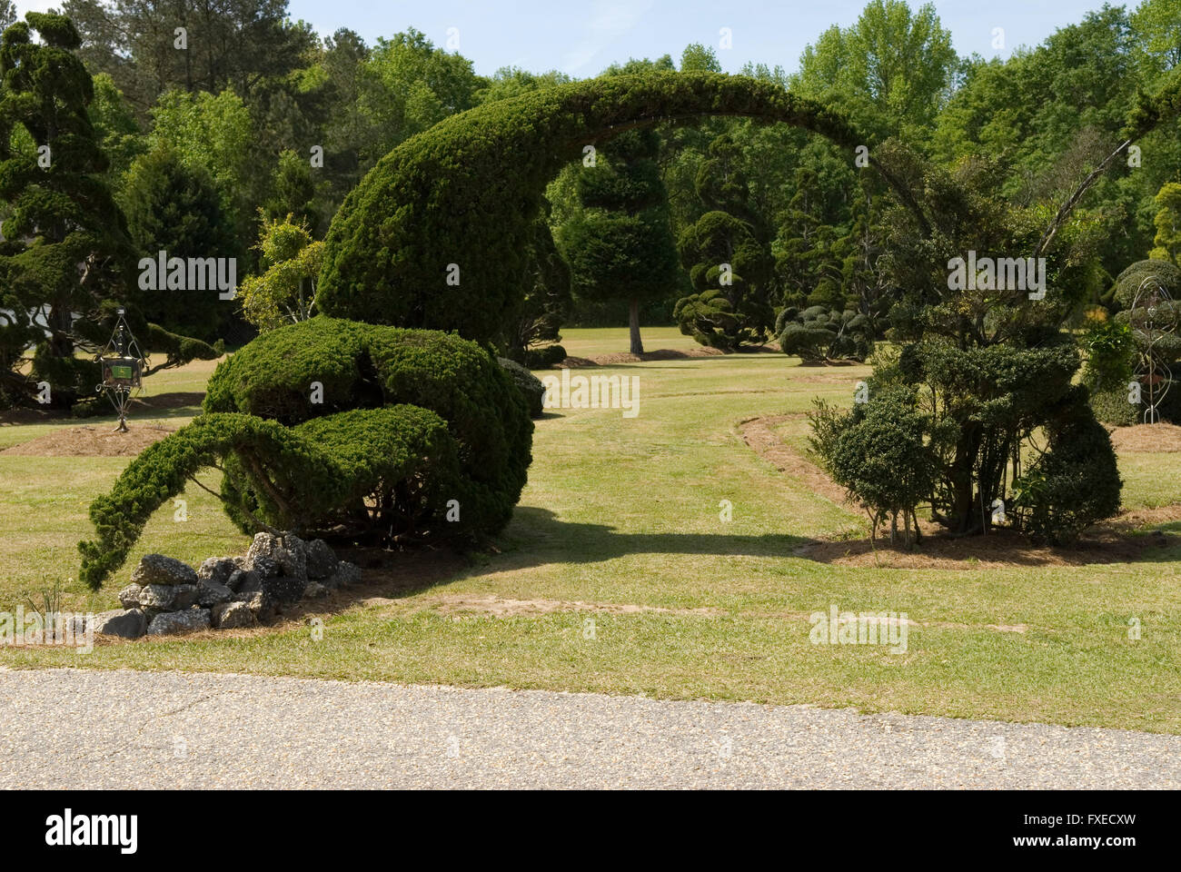 American topiary hires stock photography and images Alamy