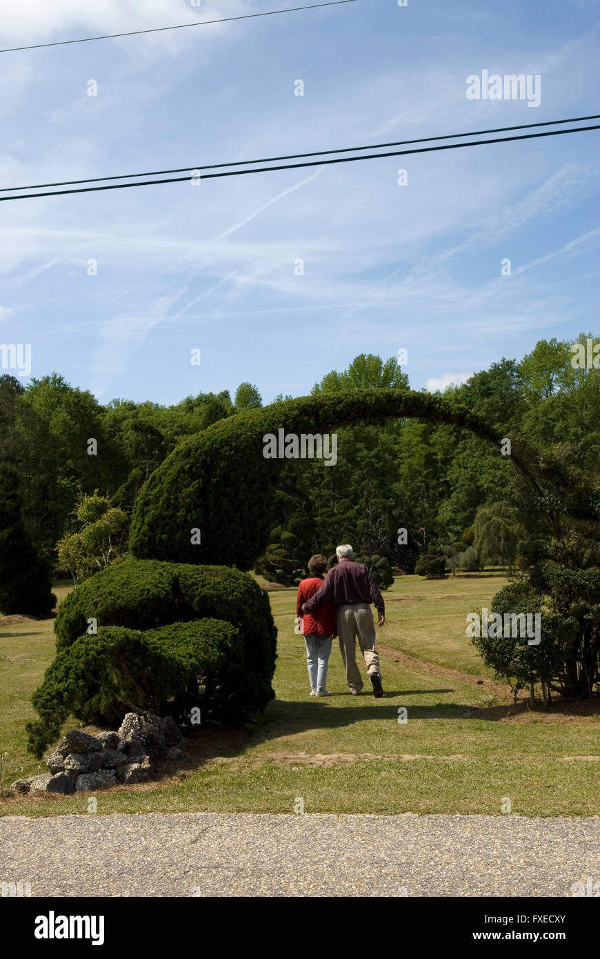 Pearl Fryar Topiary Garden Bishopville South Carolina USA Stock Photo
