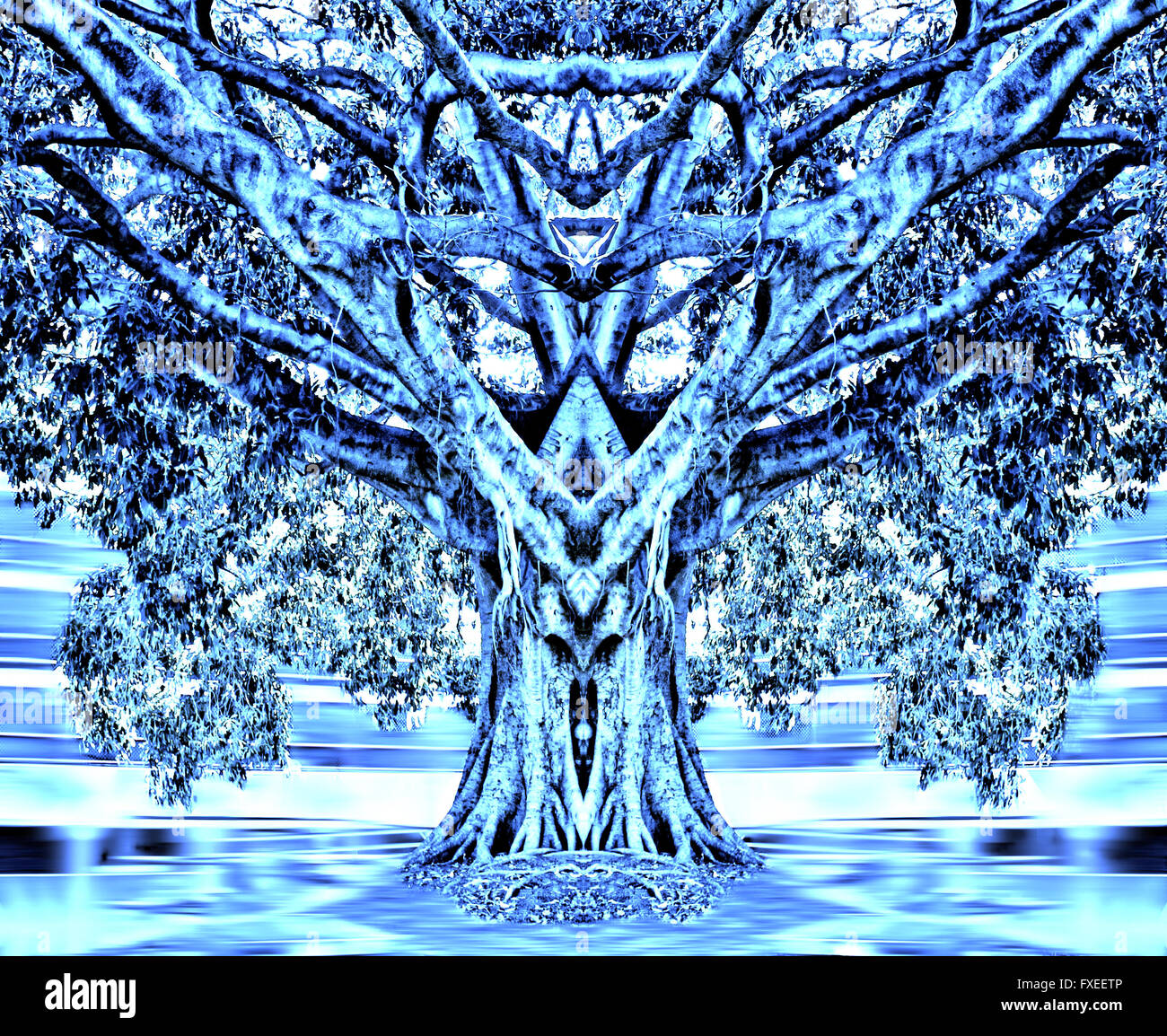 Symmetrical tree hi-res stock photography and images - Alamy
