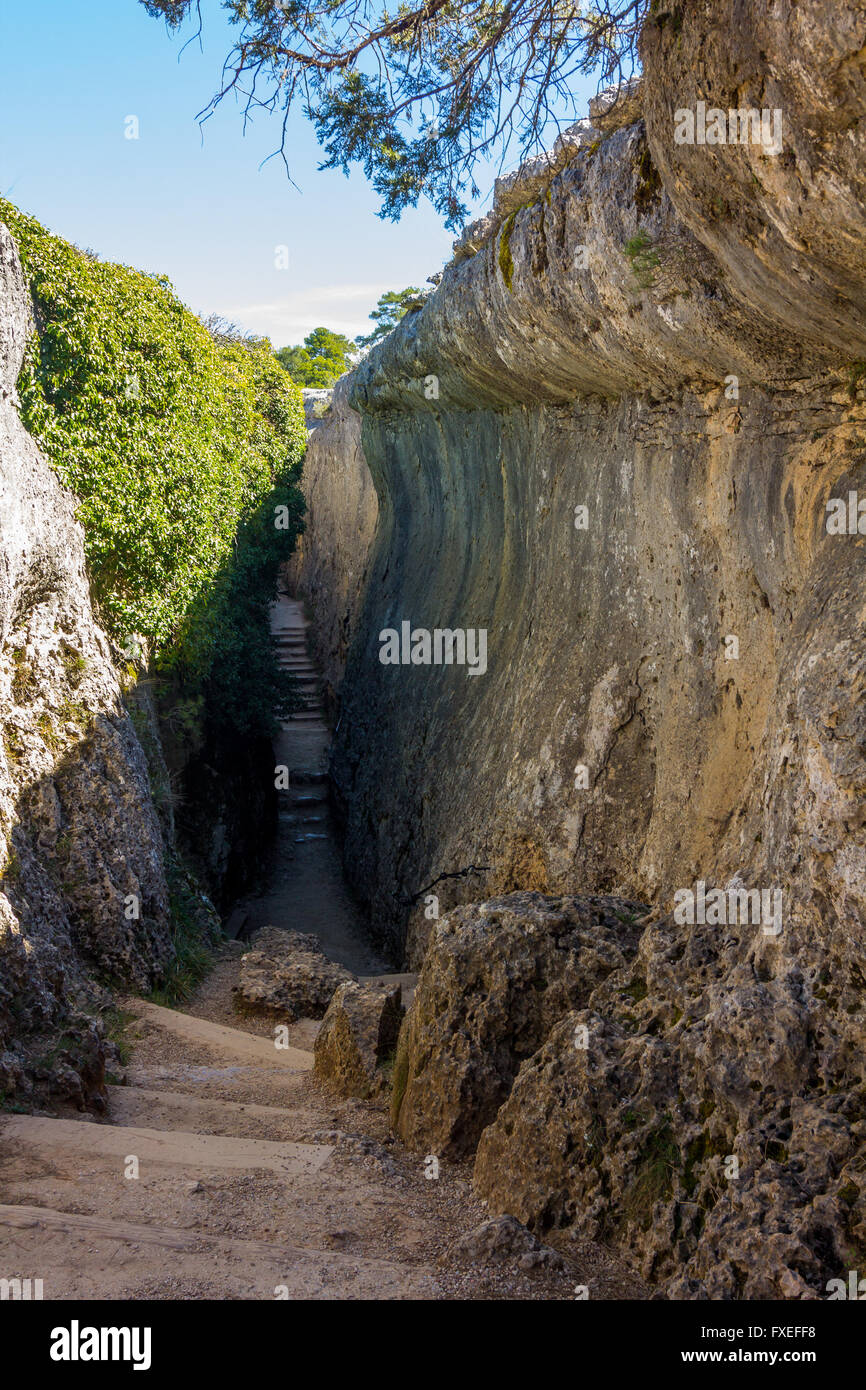 Capricious forms hi-res stock photography and images - Alamy