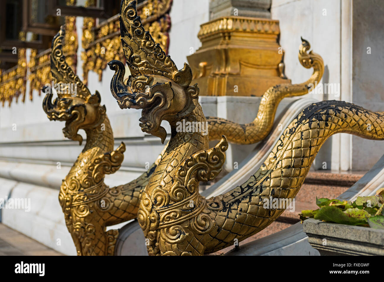 Golden dragons Wat Bowonniwet Banglamphu Bangkok Thailand Stock Photo