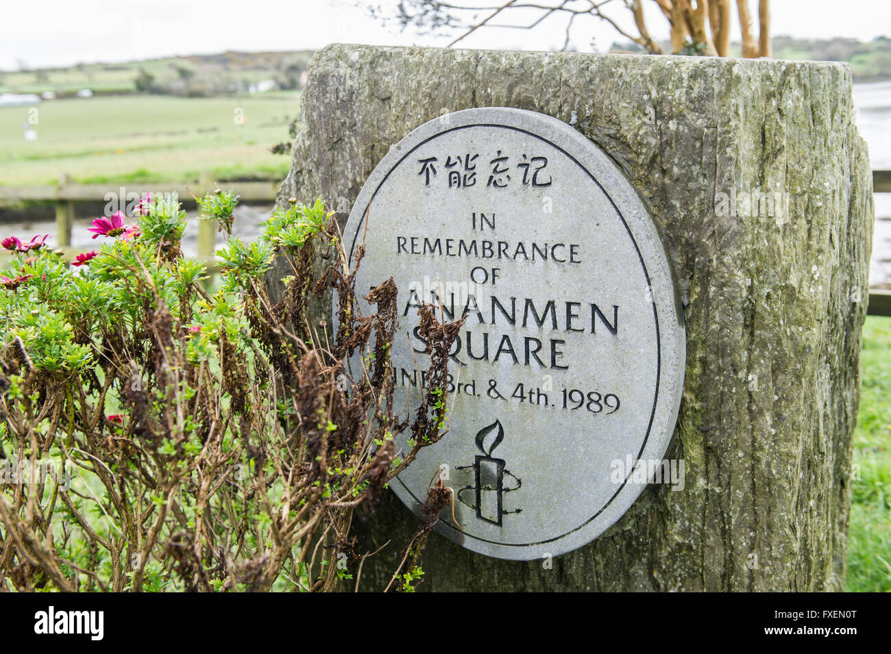 A plaque in Clonakilty, West Cork, Ireland, commemorating the events in Tiananmen Square, Beijing, China in 1989. Stock Photo
