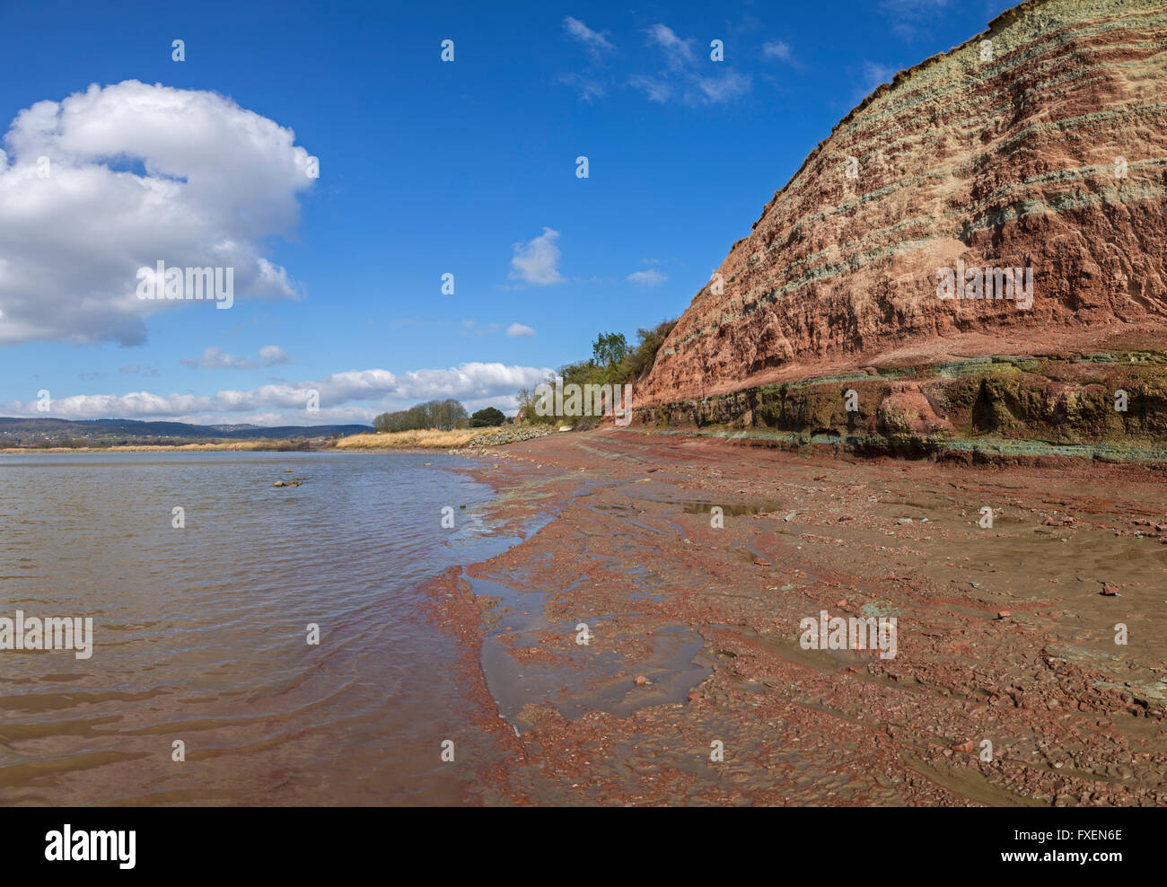 Garden Cliff, Westbury on Severn, Gloucestershire, England Stock Photo
