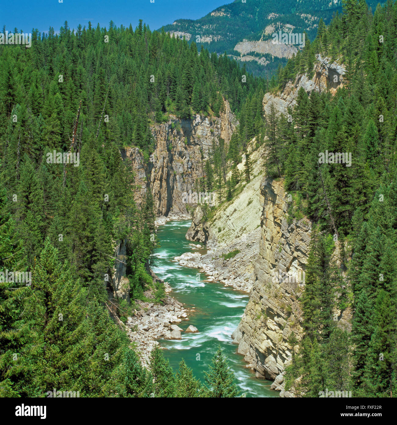 south fork flathead river in a deep canyon above hungry horse reservoir near hungry horse, montana Stock Photo