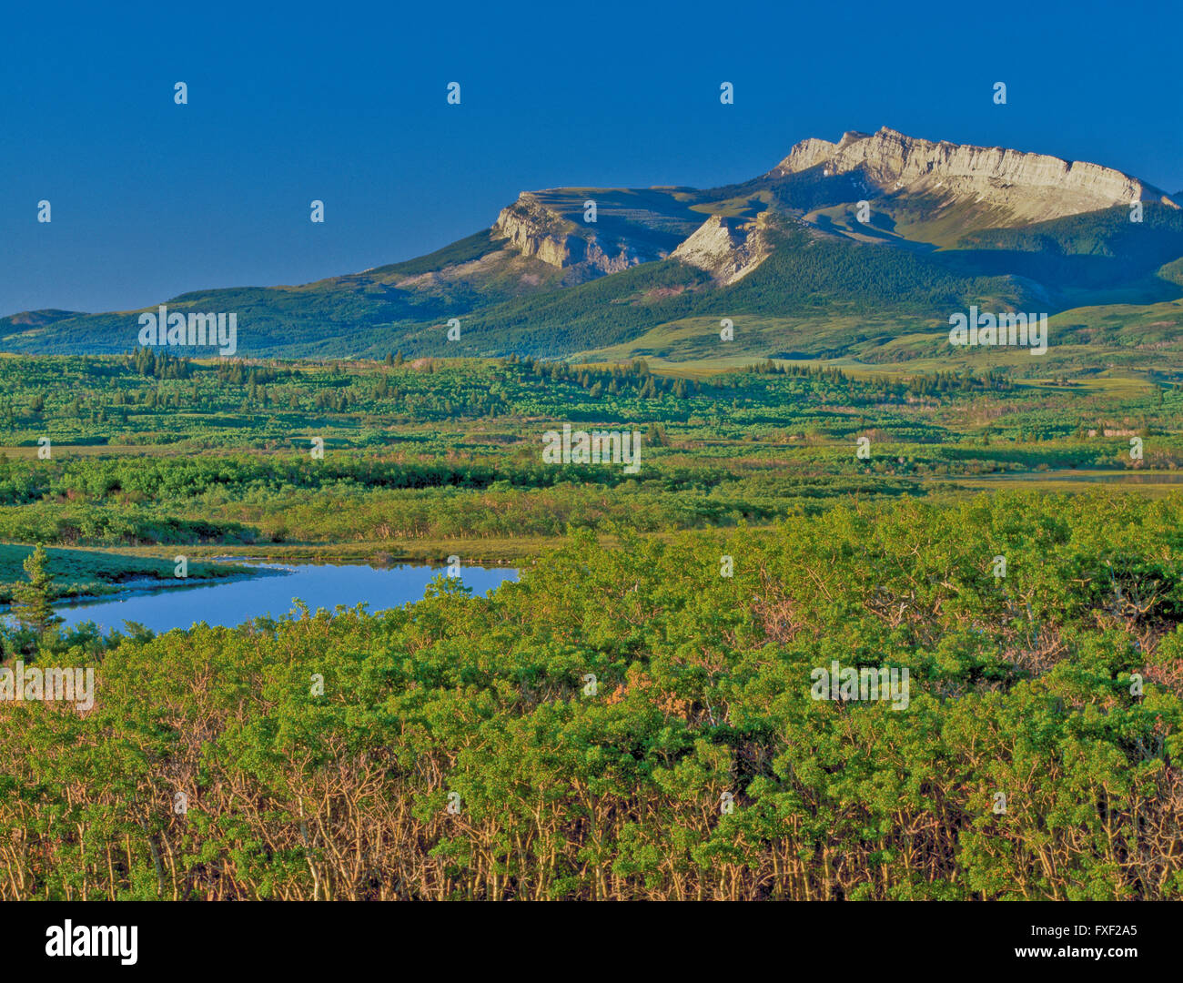 walling reef and wetlands along the rocky mountain front near dupuyer, montana Stock Photo