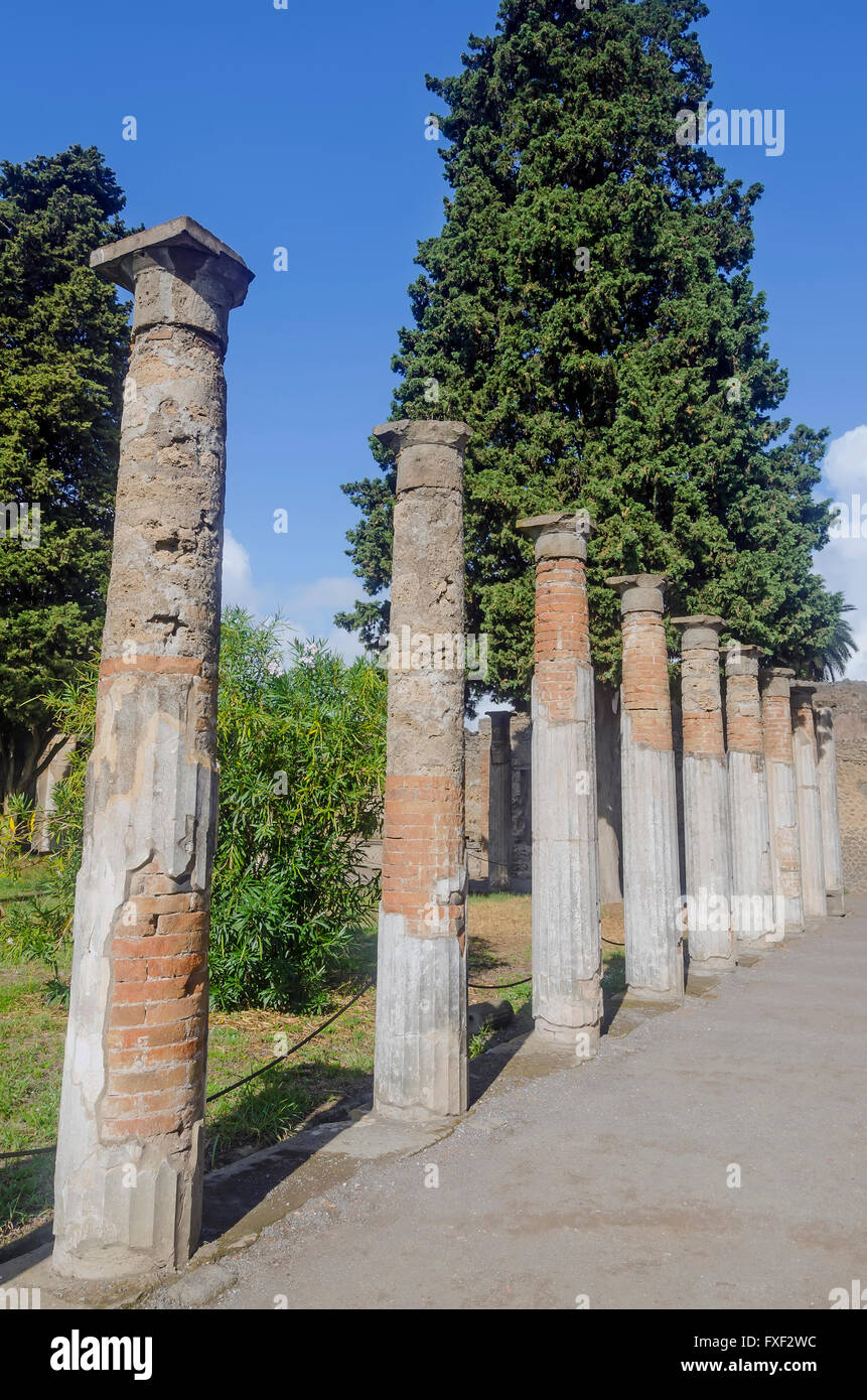 Standing Roman columns or pillars in garden of House of the Faun Pompeii Italy Stock Photo
