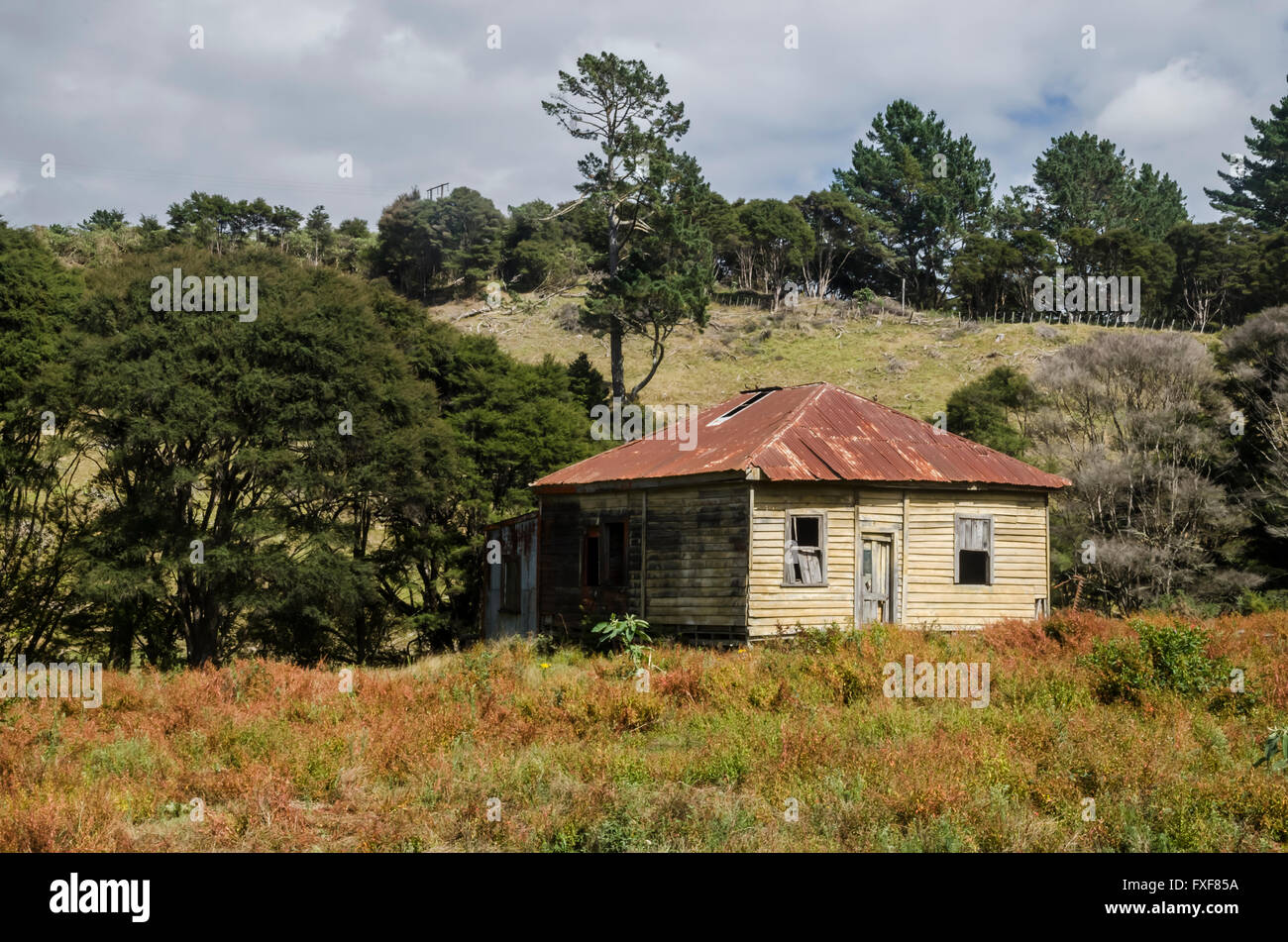 Abandoned house in the Coromandel peninsula, New Zealand Stock Photo
