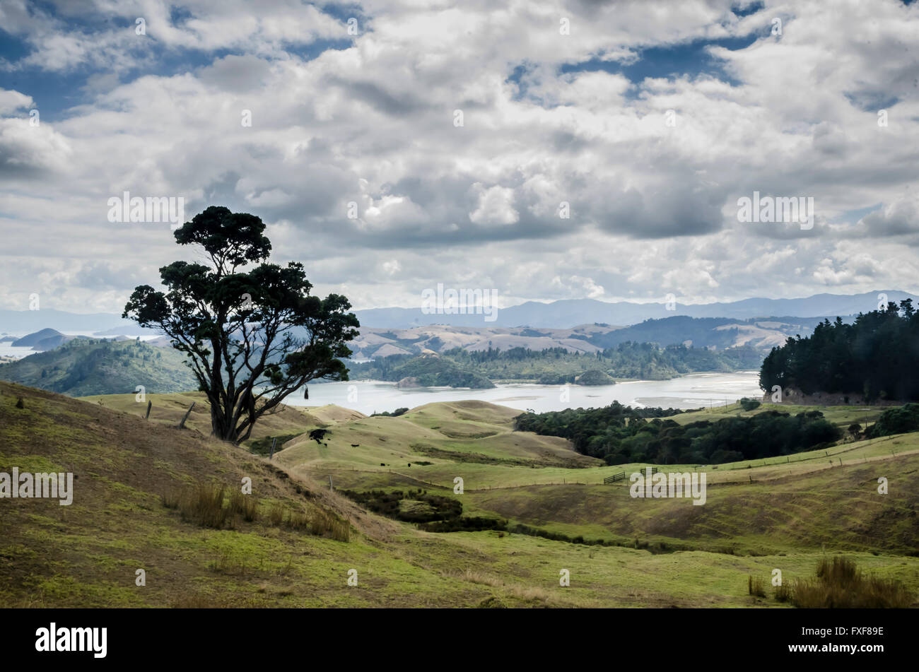 New Zealand Landscape, North island, Coromandel Peninsula Stock Photo