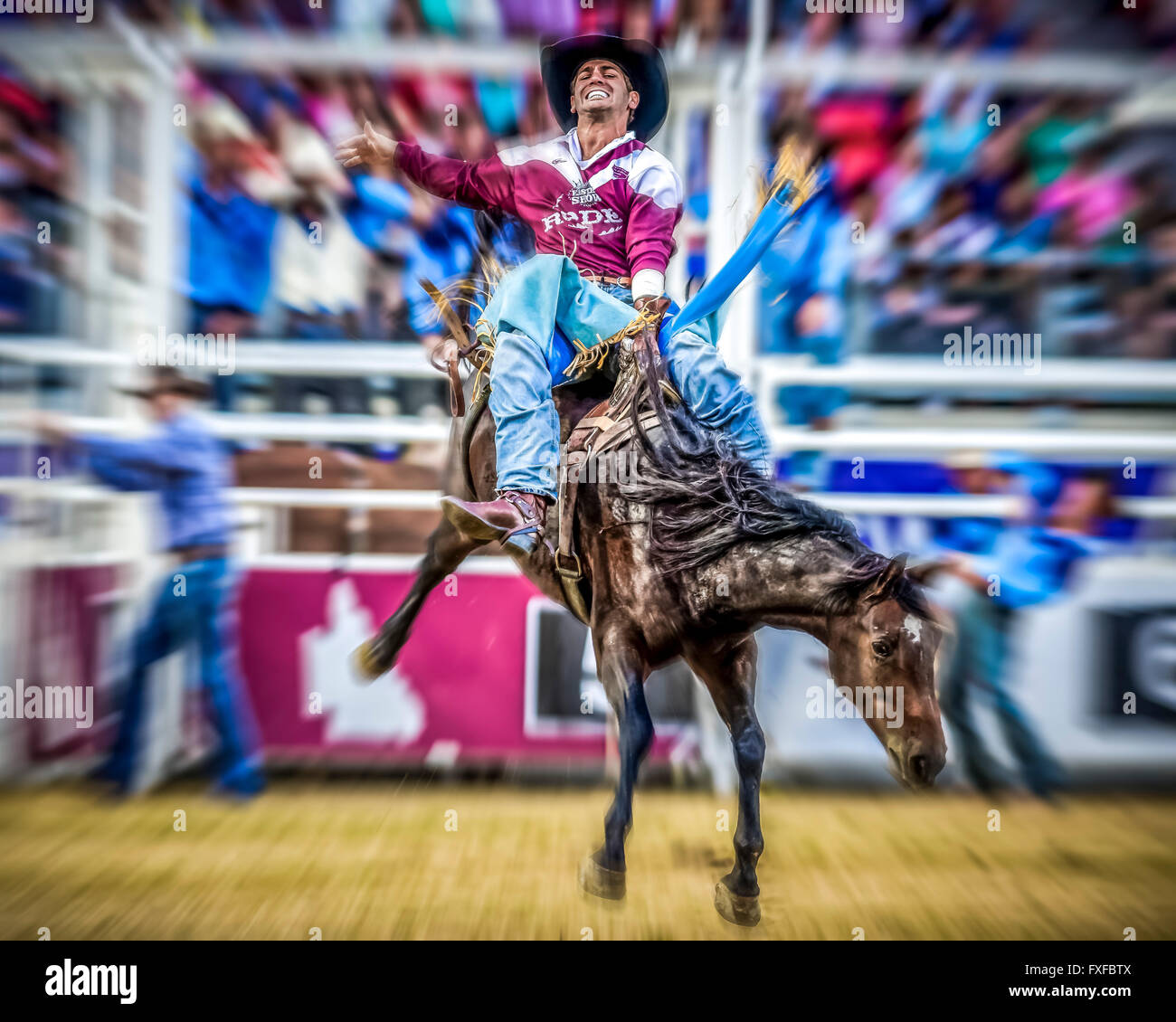 Jake Andrews (QLD) rides bareback during the Sydney Royal Rodeo Series ...