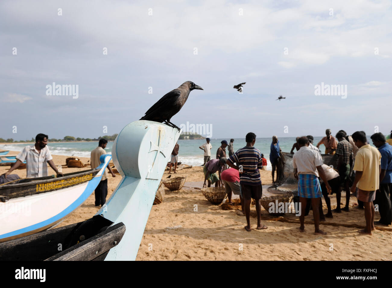SRI LANKA Trincomalee , fisherman bring the nets to the shore / SRI LANKA Trincomalee, Fischer holen am Strand die Netze ein Stock Photo